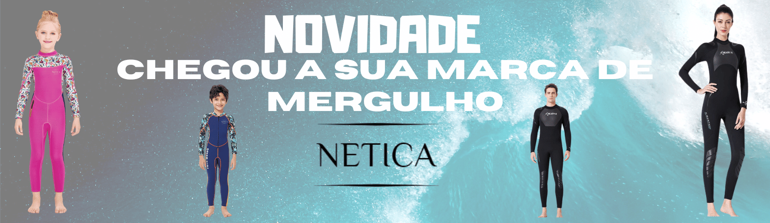 netica
